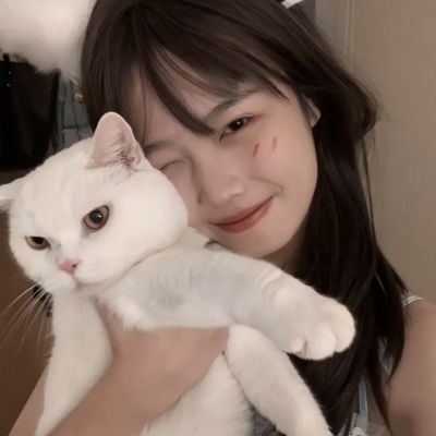 创想三国变态版下载